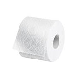 Toilettenpapier Comfort Recycling 3-lagig 250 Cps. 9.5 x 12.0 cm